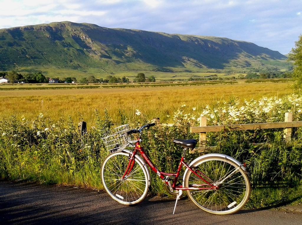 Dingieshowe Cottage Lennoxtown エクステリア 写真